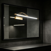 Dimmable LED Bathroom Vanity Light, Bendable Double Arm Wall Mount Mirror Lamp for Make-up Mirror